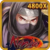Ninja cover image